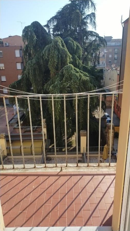 B & B Via Borgo Di San Pietro Bologna Esterno foto